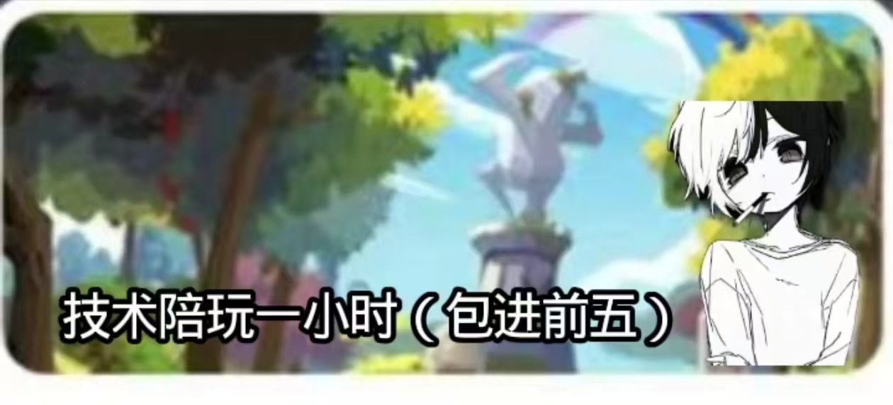 技术陪一小时29.9r