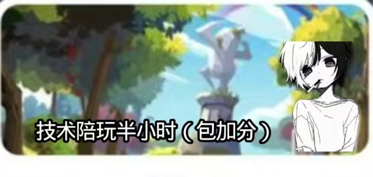 技术陪半小时14r