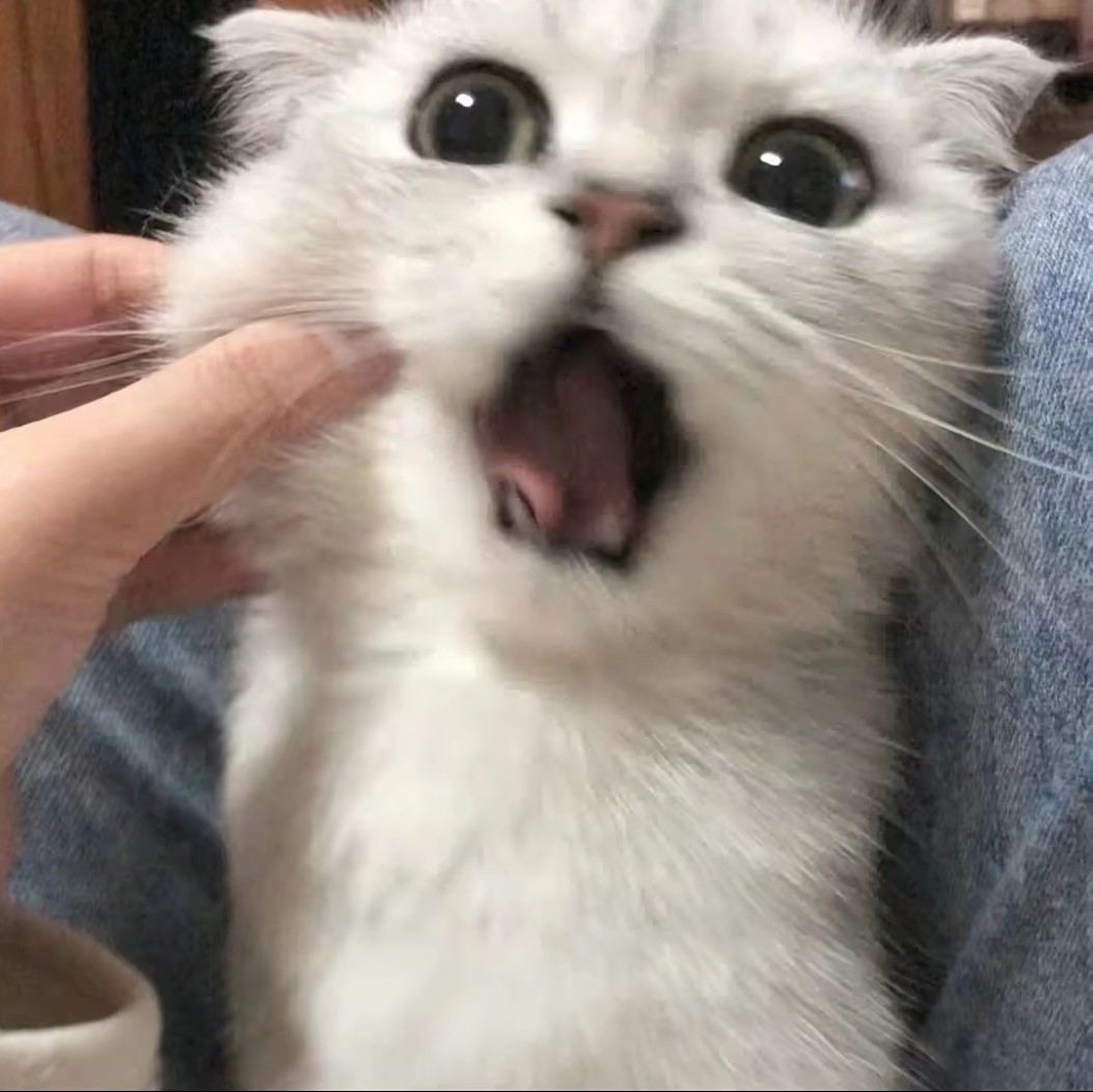 伍戏